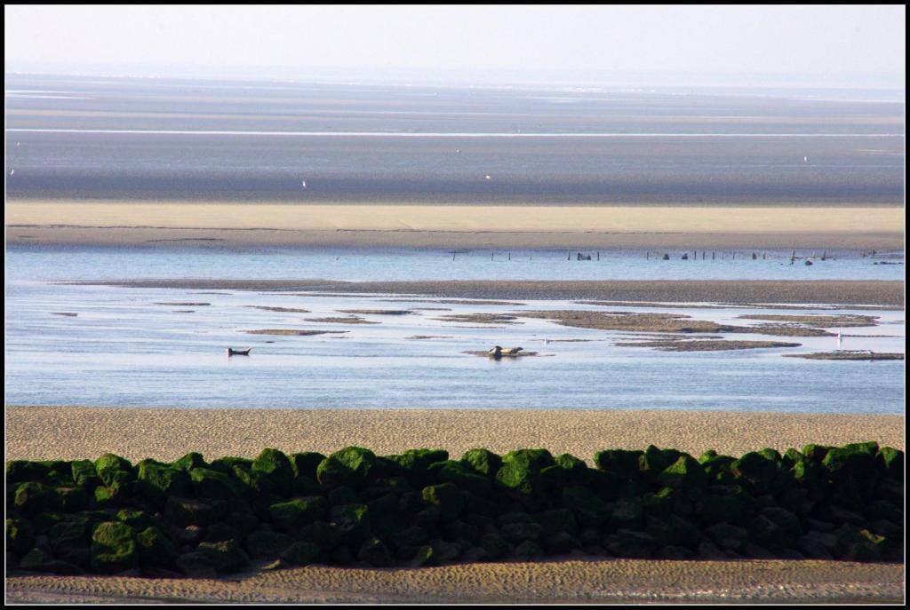 Logis Hotel & Restaurant "Au Gre Du Vent" Berck Eksteriør billede